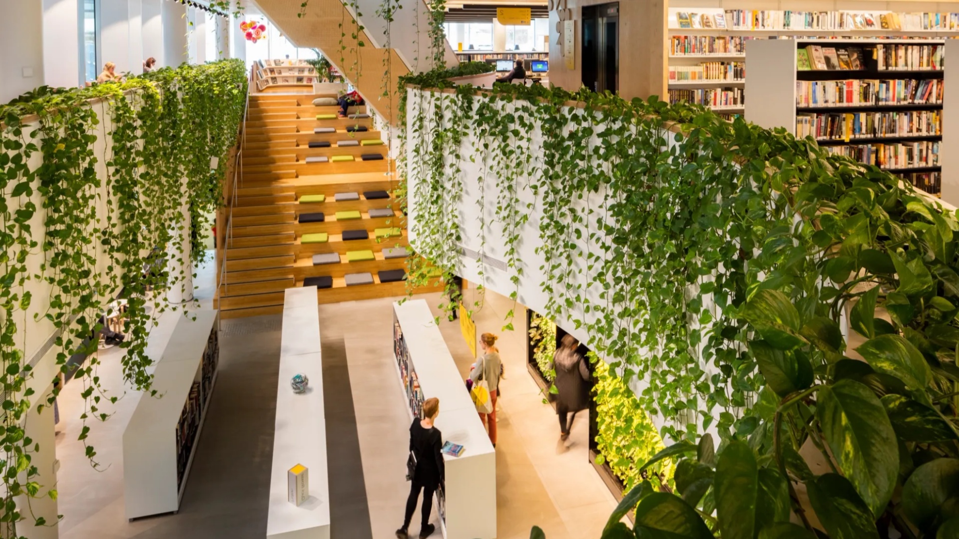 Woollahra Libraries, Sydney