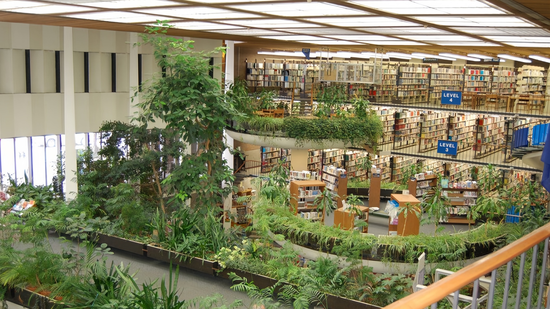 The Chinese University of Hongkong, Shenzhen