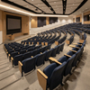 Flip-up Lecture Hall Seats with Wooden Armrests & Writing Tablet