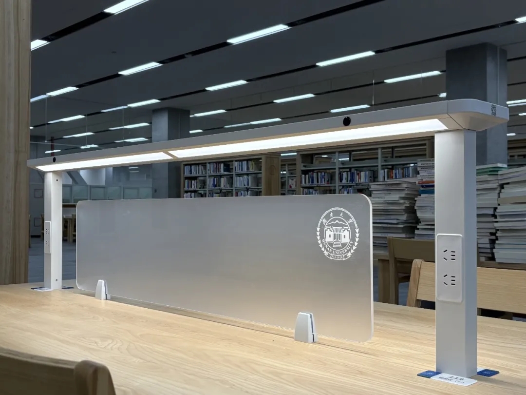 reading area 3 (5)