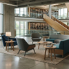 Library lounge seating and armchairs arranged near large glass windows with campus views.