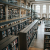 Open-concept library shelving designed for efficient book organization in modern university libraries