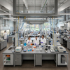 Modular university lab benches with grey steel storage cabinets and overhead gas lines supporting group research