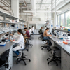 Adjustable Swivel Laboratory Stools Used by Researchers in STEM Classroom
