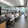 Cleanroom and Laboratory Chairs with Round Seats for Science Experiments